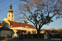 Die Kirche St. Leonhard in Graz