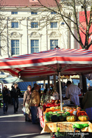 Graz Markt am Kaiser-Josef-Platz im zweiten Bezirk St. Leonhard