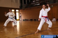 Ostmeisterschaften Shotokan Karate ATG Graz 20101107 100