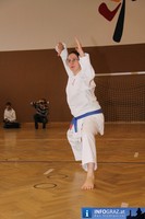 Ostmeisterschaften Shotokan Karate ATG Graz 20101107 114