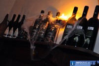 Vampirnacht Schloss Freiberg 20101120 18