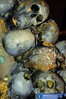 DSC 4335
