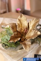 Weihnachtsbasar Tanzschule Conny und Dado Graz 20101128 3