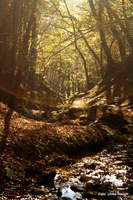Rettenbachklamm Graz Mariatrost