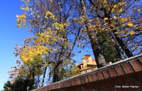 Ein Haus in der Grazer Babenbergerstraße: Graz 4. Bezirk Lend