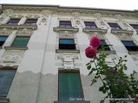 Herta Dopler Altstadt 04
