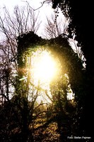 Die Grazer Öekoinsel (Messendorfberg): Graz 8. Bezirk - Sankt Peter