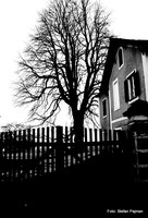 Düstere Stimmung am Messendorfberg: Graz 8. Bezirk - Sankt Peter