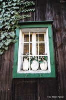 Efeu am malerischen Fenster - Messendorfberg: Graz 8. Bezirk - Sankt Peter