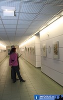 Vernissage Franz Kodelic Med Center Nord Graz 20110120 13