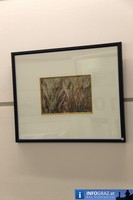 Vernissage Franz Kodelic Med Center Nord Graz 20110120 21