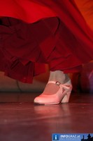 Carneval Oriental Helmut List Halle Graz 20110122 116