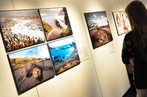 Ausstellungen, Vernissagen und Finissagen