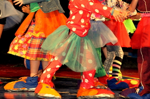 Zirkus - der Zauber der Manege