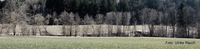 Graz 10. Bezirk - Ries
