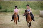 Reiten - Tiere live erleben