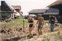 Bauen