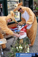 Golden Ei Osteraktion Grazhats Innenstadt Graz 20110415 102