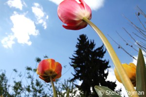 Fotos von Events Mail 2011