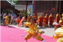 Wushu