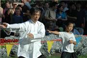verteidigung, Bewegungslehre, Gymnastik, Gesundheit, Persönlichkeitsentwicklung, Meditation, taiji, taijiquan