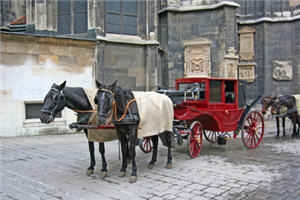 Fiaker,Lenker,Graz,eine Fahrt,Flughafentaxi,Auto PKW,Anbieter,Transportunternehmen,betriebe,Transporter,Probleme,Krankentransport,Verleih,