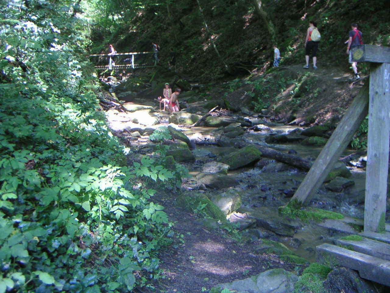 Die schönsten Klammen und Höhlen  in der Nähe