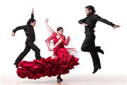 Flamenco
