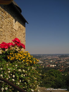 Burgruine Gösting - Graz 13. Bezirk – Gösting
