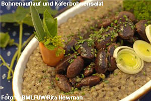 Bohnenauflauf und Käferbohnensalat,Suppe,Guglhupf,Aufläufe,Küche,Schweinsbraten,Eierspeis,Käferbohnen,Kürbiskerne,Erdäpfelsalat,Brotaufstriche,Gugelhupf,Variationen