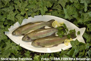 Steirische Forellen,Eierspeise,Kartoffel suppe,Rindfleisch,Suppen,steirisch,Graz,Kernöl,Kürbis,Kürbisgemüse,Buschenschank,Schmarrn