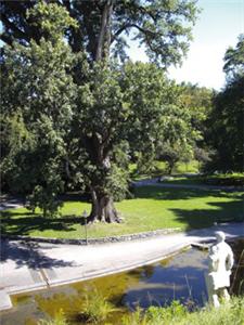 Graz,Schlospark Eggenberg,bezaubernd,unesco–weltkulturerbe,mausoleum,kulturhauptstadt,positives denken, Graz university