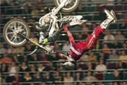 fmx contest, fmx cross, fmx dirtbike, fmx dvd, fmx meets, fmx meisterschaft, fmx racing, fmx rampe, fmx red, fmx show, fmx supermoto, fmx team, fmx team 2, fmx team game, fmx team online, fmx termine