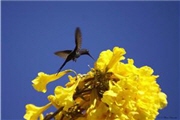 März 2012: Bilder von Veranstaltungen, Fotos von Events
