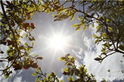 Mai 2011: Veranstaltungsfotos, Eventbilder und Party-Pics