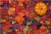 September 2011: Veranstaltungsfotos, Eventbilder und Party-Pics