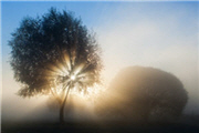 November 2011: Eventbilder, Veranstaltungsfotos und Party-Pics