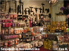 orion,gutscheine,gutscheincode,sex,porno,versandhäuser,spannend,diskret,nach hause,sexspielzeug,sonderangebot,beateuse,versandhandel,attraktive