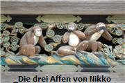 affen, kurisos, unglaubliches, Wiener schmäh, Grazer schmäh, Steirer schmäh, kurioses bei, kurioses im
