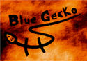 Blue Gecko Records Tonstudio