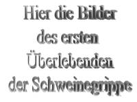 schweinegrippe1
