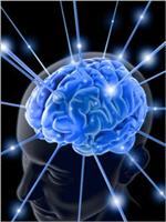 Ausbildung zum Mentaltrainer, Bereich Mentaltraining, Coaching, das Mentaltraining, das Mentaltraining der, das Mentaltraining der Sieger, des Mentaltrainings, Dipl. Mentaltrainer, Diplom Mentaltrainer