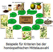 Homöopathie Anwendungsgebiete, Homöopathie Apotheke, Lachesis Homöopathie, lycopodium, Natrium chloratum, Natrium chloratum Homöopathie