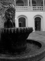 gertrudepinter altstadt 03
