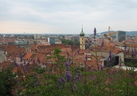 gertrudepinter altstadt 06