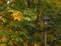 Herbstliche Stimmung im Stadtpark