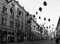 andrea penz altstadt 05