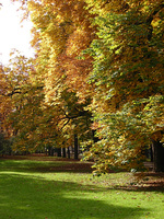 wagner hannelore altstadt 1