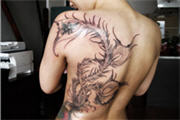 Keltische Tattoo in Graz,Lippe Piercing,Lippen Piercings,Lippen pircing,Lippenbändchen in Graz,lippenbändchen Piercing,Nightliner Tattoo,piercing