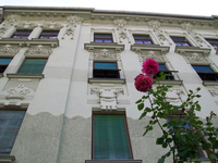 herta dopler altstadt 04